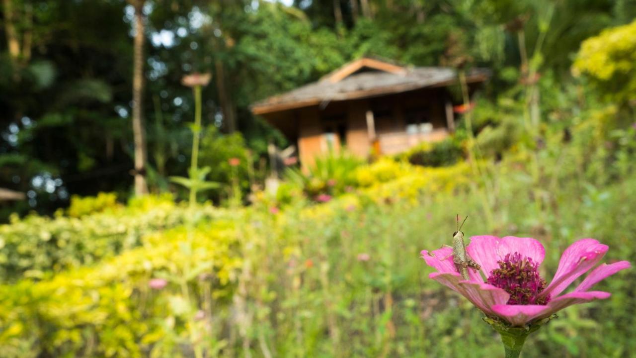 K2 Lembeh Dive Resort 비퉁 외부 사진