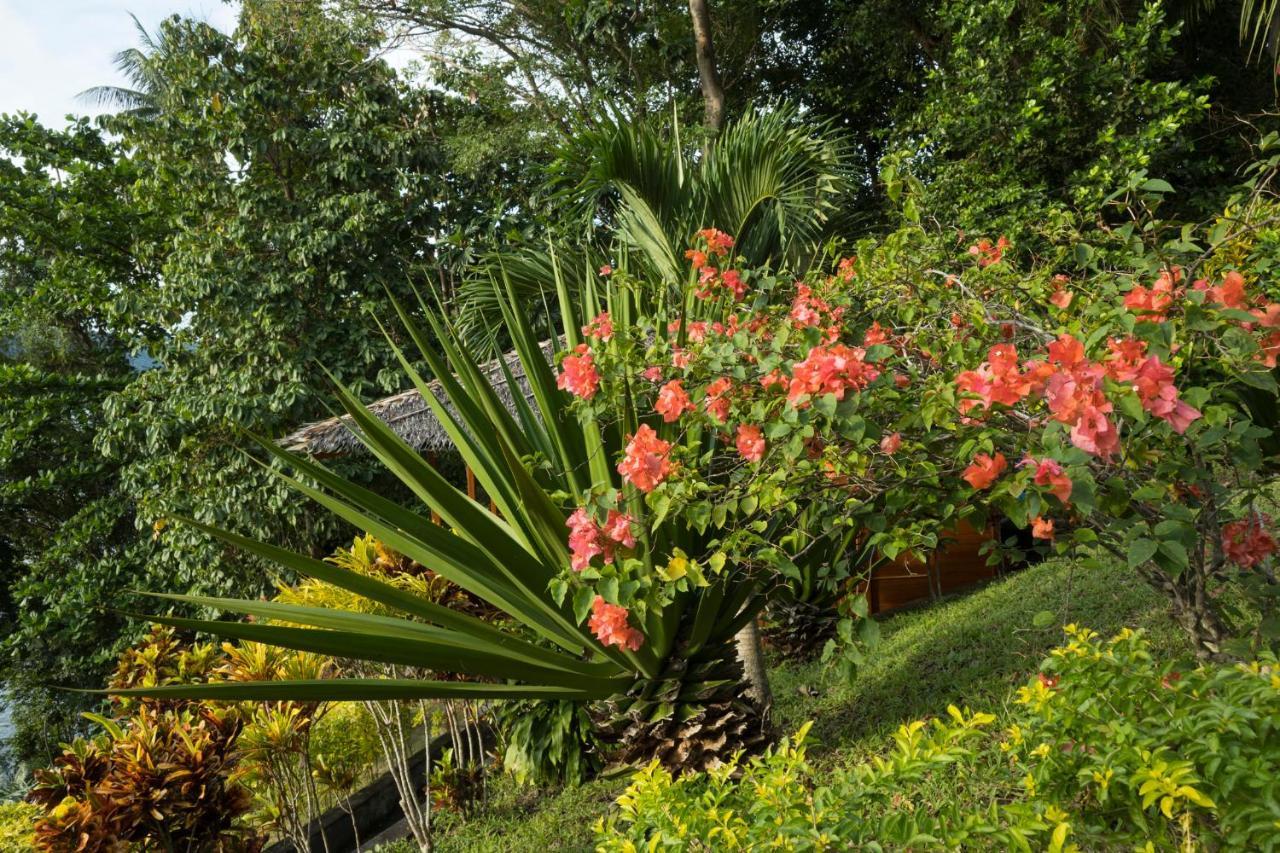 K2 Lembeh Dive Resort 비퉁 외부 사진